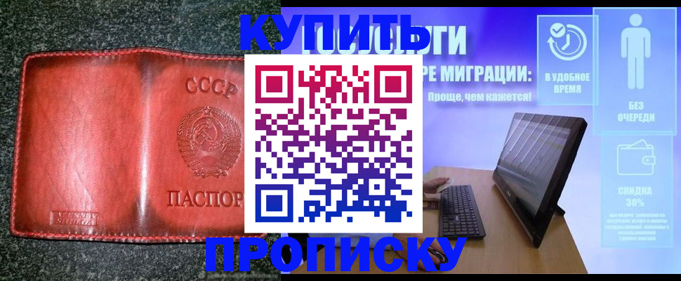 найти адрес прописки в Кандалакше